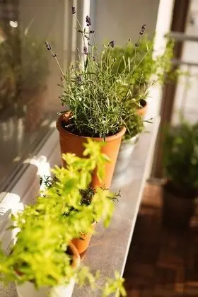 Family Apart Daire, Birden Çok Yatak, Şehir Manzaralı