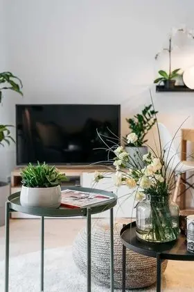 Comfort Apart Daire, Bahçe Manzaralı