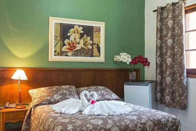 Standard Tek Büyük Yataklı Oda, Bahçe Manzaralı