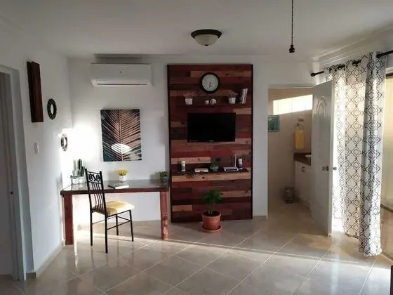 Luxury One Bedroom Condo With Balcony (Top Floor)