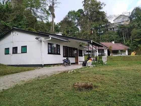 Shared Dormitory for Female (1 bed for 1 person)
