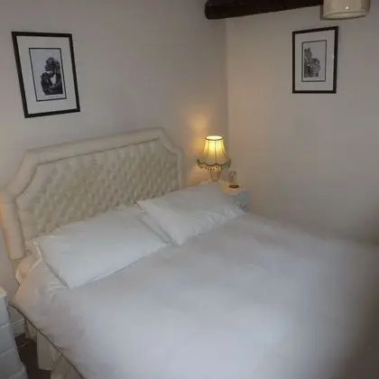 Deluxe Tek Büyük Yataklı Oda (Garden View)