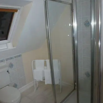 Deluxe Tek Büyük Yataklı Oda (Garden View)
