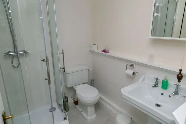Deluxe Tek Büyük Yataklı Oda (Garden View)