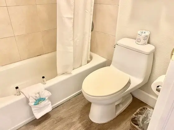 Traditional Oda, 1 En Büyük (King) Boy Yatak, Sigara İçilmez