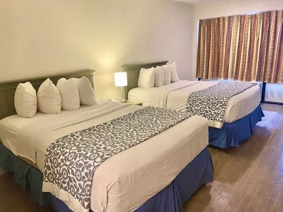 Traditional Tek Büyük Yataklı Oda, Sigara İçilmez
