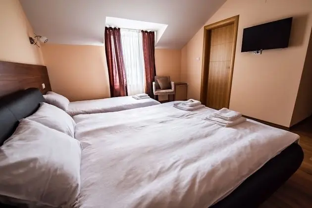 Tek Büyük Yataklı Oda (Extra Bed)