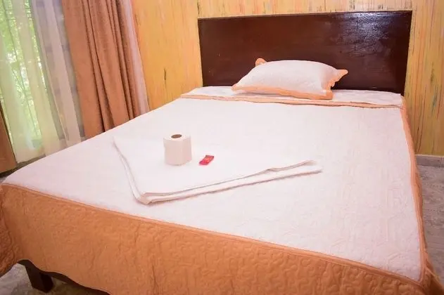 Deluxe Tek Kişilik Oda, 1 Büyük (Queen) Boy Yatak, Sigara İçilmez