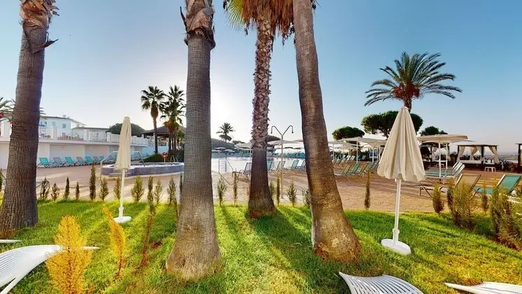 Premium Tek Büyük Yataklı Oda, Bahçe Manzaralı (2 adults)