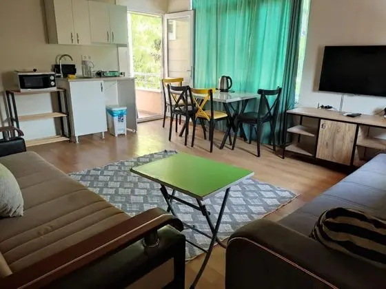 Apartment, Bahçe veya Sokak Manzaralı, Balkonlu