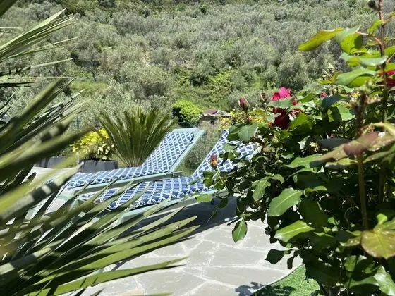 Superior Dört Kişilik Oda, Bahçeli