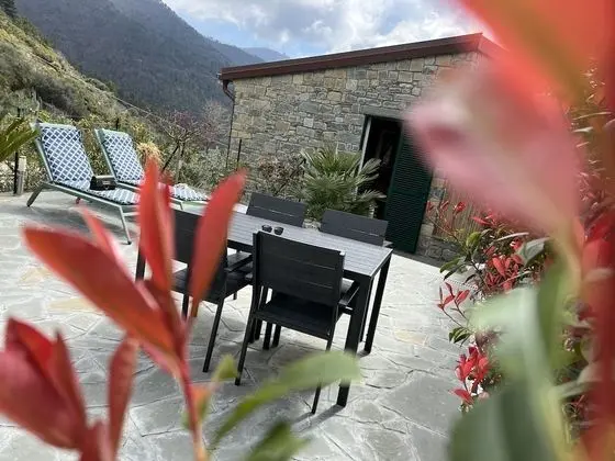 Superior Dört Kişilik Oda, Bahçeli