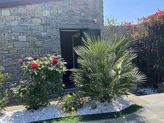 Superior Dört Kişilik Oda, Bahçeli