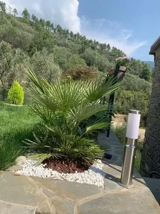 Superior Dört Kişilik Oda, Bahçeli