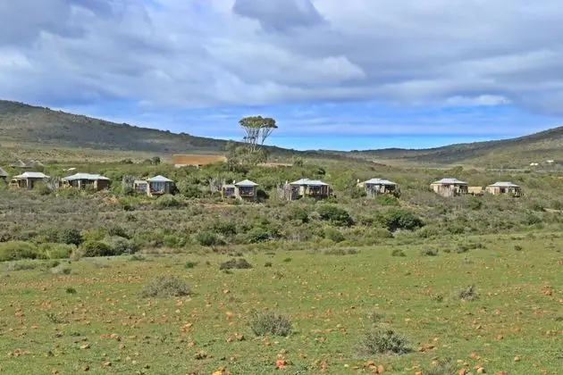 Luxury Süit, 1 Yatak Odası