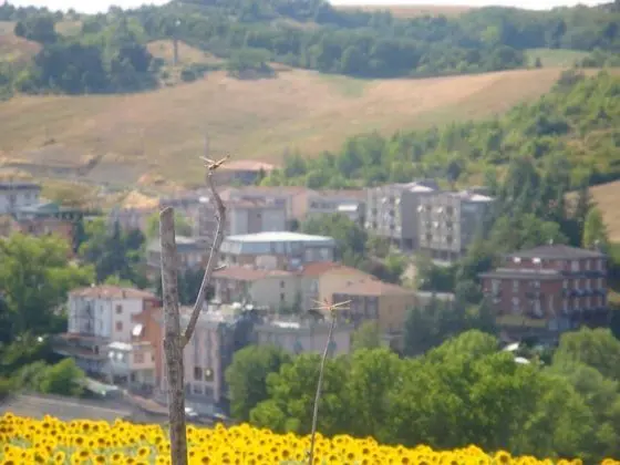 Tek Kişilik Oda, Bahçe Manzaralı