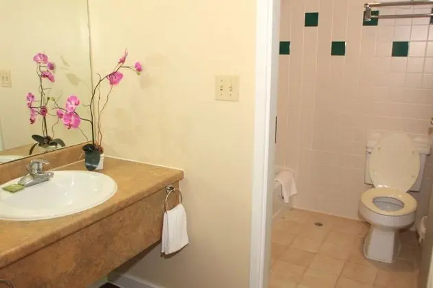 King Villa Suite