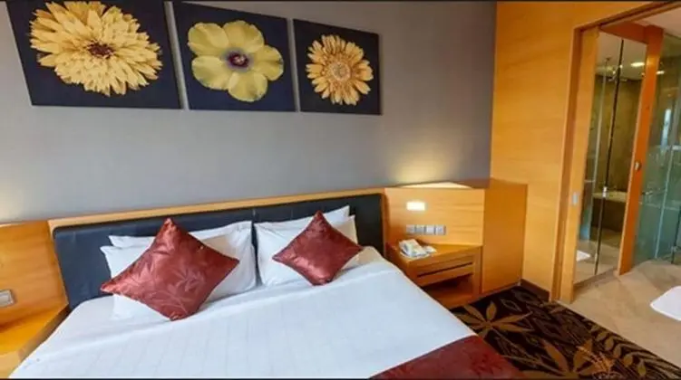 Deluxe Oda, 1 En Büyük (King) Boy Yatak, Şehir Manzaralı