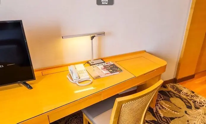 Deluxe Oda, 1 En Büyük (King) Boy Yatak, Şehir Manzaralı