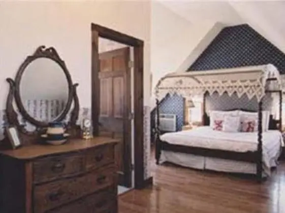 Tek Büyük Yataklı Oda, Banyolu/Duşlu (Sun-Lit Suite)