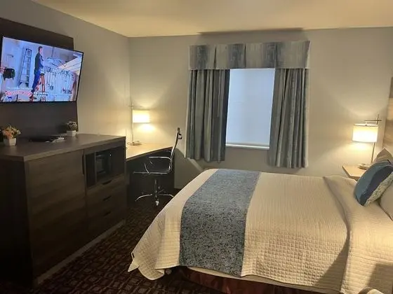 Standard Room Handicap