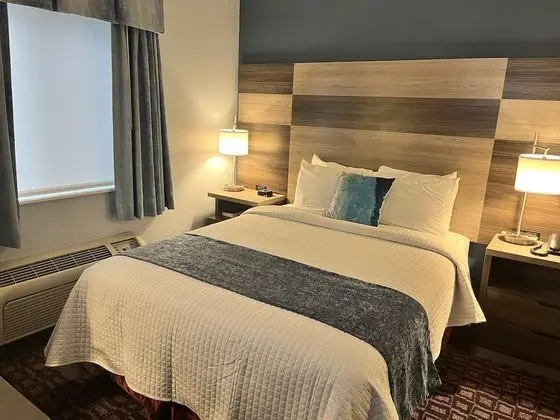 Standard Room Handicap