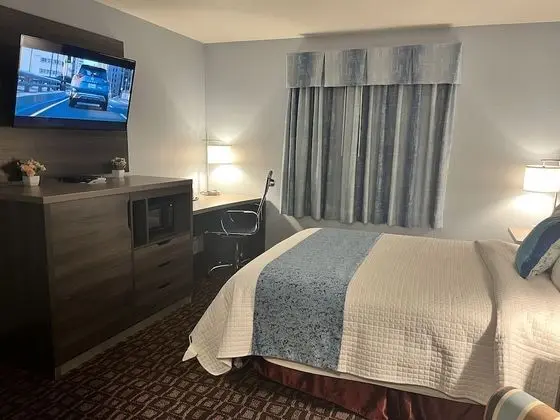 Standard Room Handicap