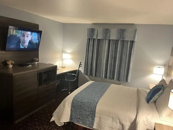 Standard Room Handicap