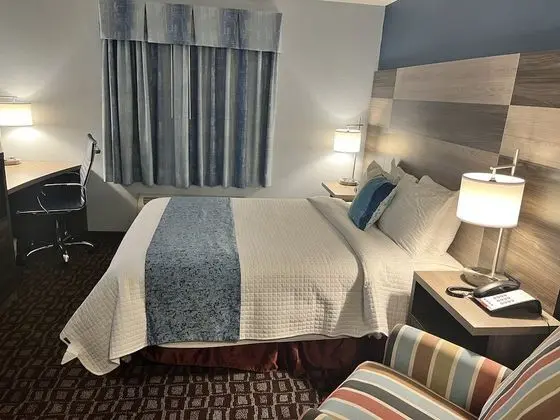 Standard Room Handicap