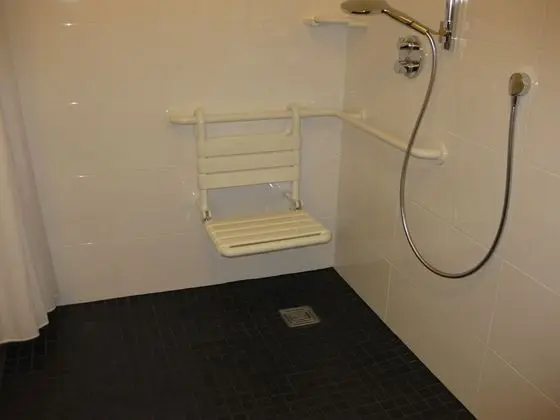 Comfort Tek Büyük Yataklı Oda, 1 Büyük (Queen) Boy Yatak, Engellilere Uygun