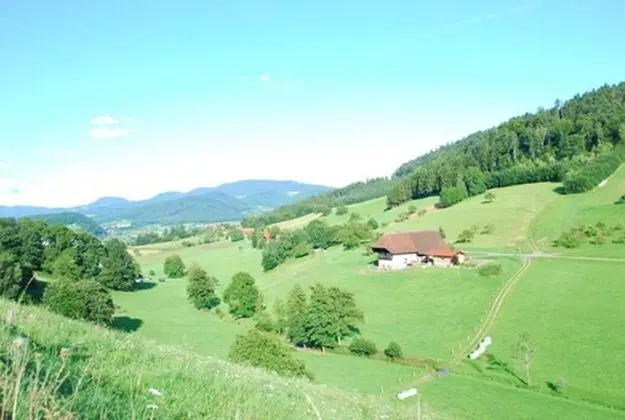 Family Süit, Balkon