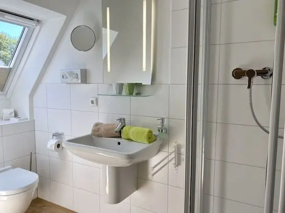 Basic Süit
