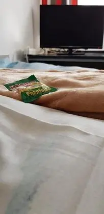 Basic Tek Büyük veya İki Ayrı Yataklı Oda, Sigara İçilmez