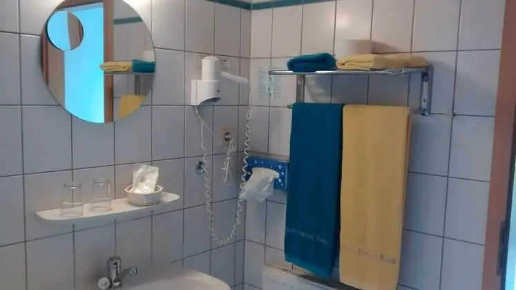 Comfort Tek Kişilik Oda, Özel Banyo, Bahçe Manzaralı