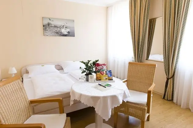 Standard Tek Büyük Yataklı Oda (Klein)