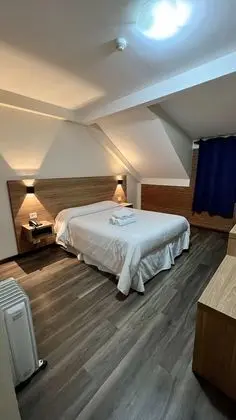 Standard Tek Büyük Yataklı Oda, 1 Çift Kişilik Yatak