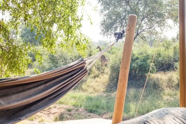 Luxury Çadır