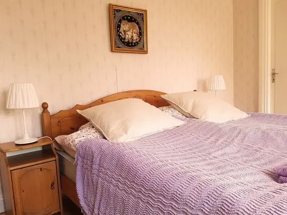 Deluxe Tek Büyük Yataklı Oda, Bahçe Manzaralı