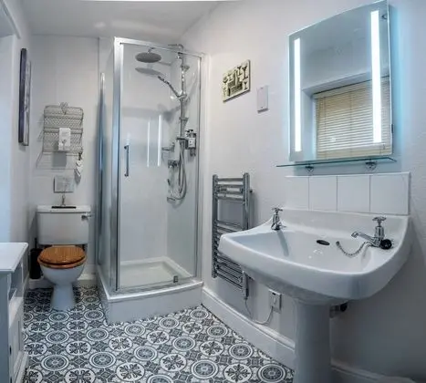 Tek Büyük Yataklı Oda, Banyolu/Duşlu (Room 3)