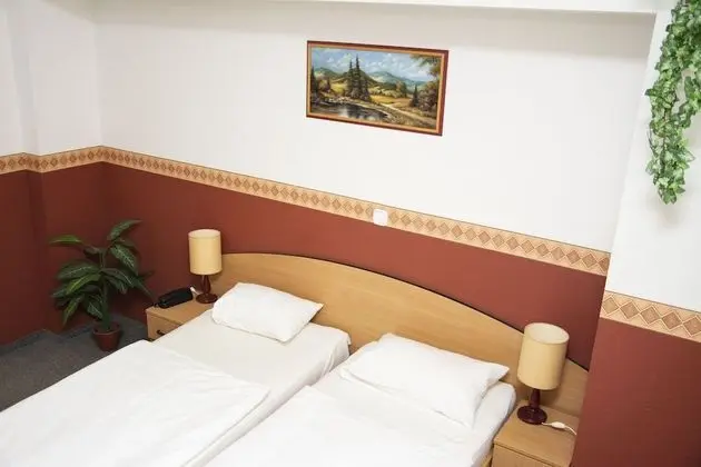 Classic Tek Büyük veya İki Ayrı Yataklı Oda