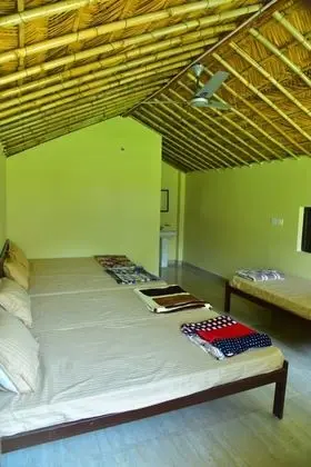 Deluxe Üç Kişilik Oda, Birden Çok Yatak, Sigara İçilmez, Bahçe Manzaralı