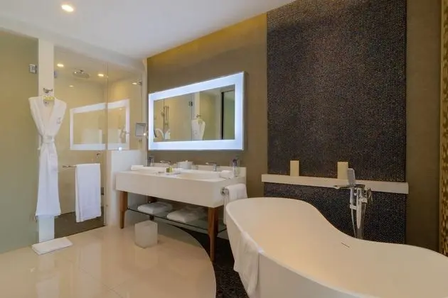 Junior Suite 1 King Bed