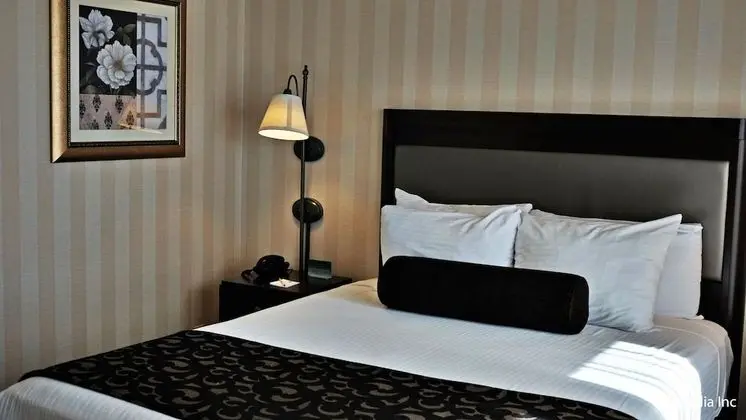Süit, 1 Yatak Odası, Şehir Manzaralı (1 Queen and 1 Sofabed)