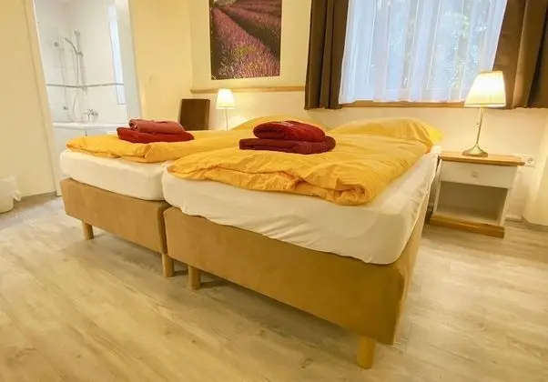 Deluxe Tek Büyük veya İki Ayrı Yataklı Oda