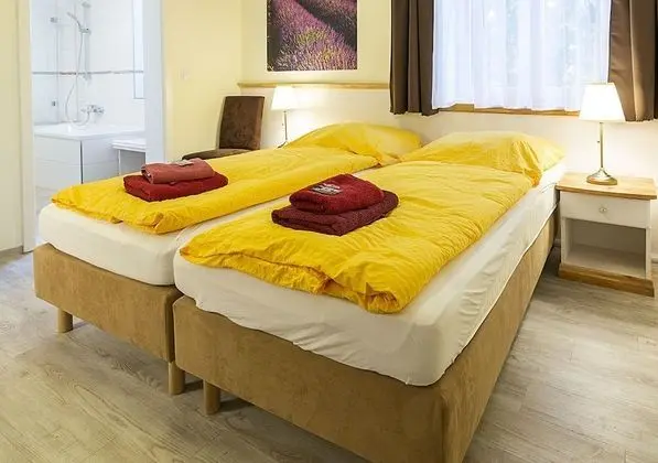 Deluxe Tek Büyük veya İki Ayrı Yataklı Oda
