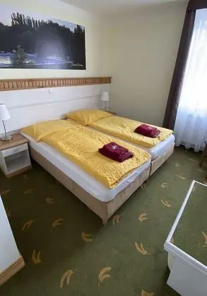 Deluxe Tek Büyük veya İki Ayrı Yataklı Oda