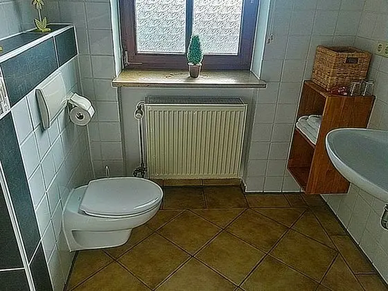 Basic Tek Büyük Yataklı Oda, Sigara İçilmez, Tepe Manzaralı