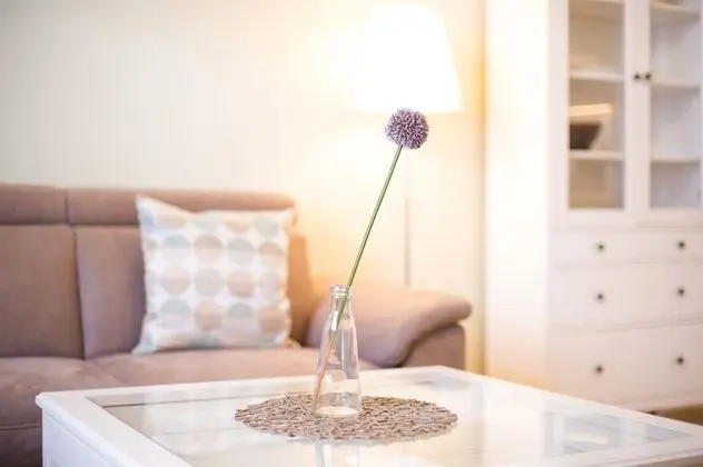 Deluxe Apart Daire, Özel Banyo, Nehir Manzaralı (Ap 2 - Treppchen)