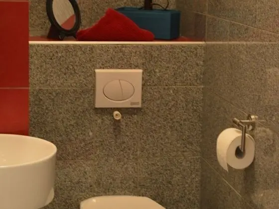 Classic Tek Büyük Yataklı Oda, Banyolu/Duşlu