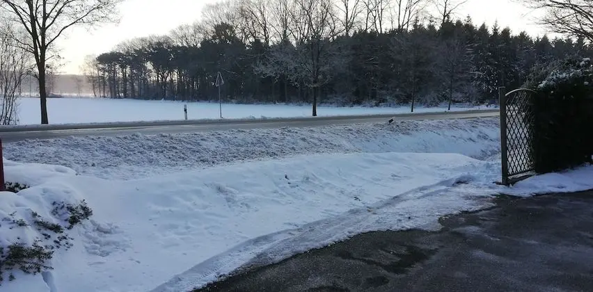 Tek Büyük Yataklı Oda, 1 Yatak Odası, Özel Banyo